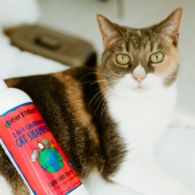 Earthbath Wild Cherry Cat Shampoo, 472 ml - PawsPlanet Australia