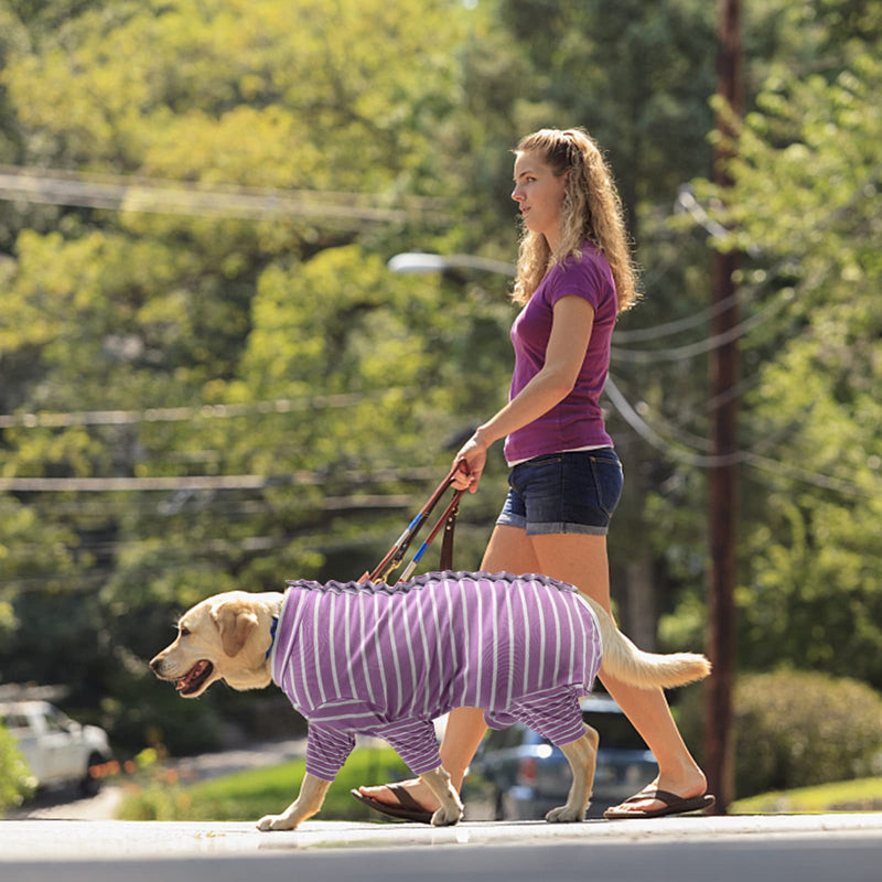 Dog Recovery Suit, Stripe Dog Surgery Suit E-Collar Replacement for Medium Large Dogs Bodysuit Soft Anti-Licking, Wound Protection Pets Medical Shirt (Purple,XL) Purple,XL - PawsPlanet Australia