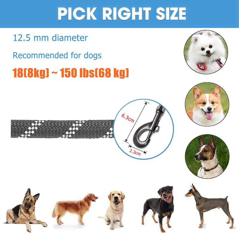 6FT Dog Lead, Reflective Dog Lead with Comfortable Foam Handle for All Size Dogs (Black) Black 1.8m 6ft - PawsPlanet Australia