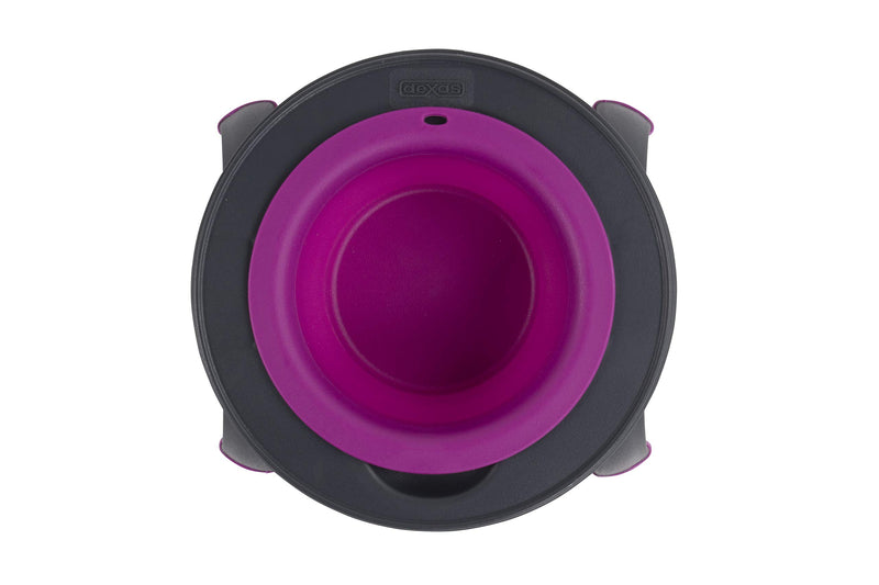 Dexas Popware for Pets Single Elevated Pet Feeder Small/1.5 Cup Capacity Fuchsia - PawsPlanet Australia