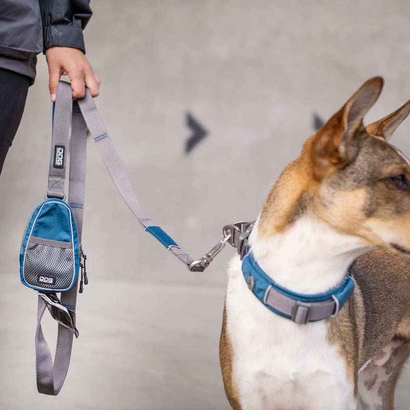 DOG Copenhagen Dog Leash V2 Urban Trail Leash Orange Sun Size L Orange Sun | Orange (2020 version) - PawsPlanet Australia
