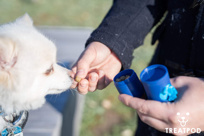 [Australia] - TreatPod Leash Treat Holder and Poop Bag Dispenser - 2 in 1 Dog Waste Bag Dispenser and Treat Container Pouch, Includes 15 Eco Friendly Extra Strength Bags Navy 