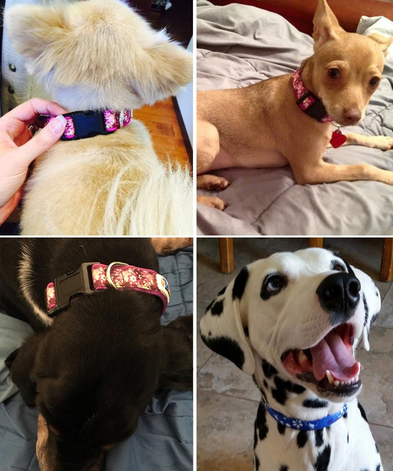 [Australia] - Rnker Dog Collars, Flowers Pattern by hot Stamping, Adjustable Basic Neoprene Padded Dog Collar Small Purple 