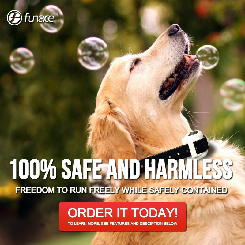 [Australia] - FunAce Extra Wireless Collar Receiver Model: 882 Wireless Dog Fence System Collar Receiver 