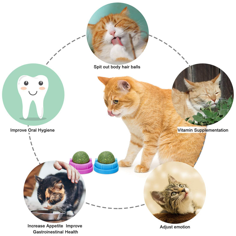 6 Pieces Catnip Ball Cat Licking Toys Rotatable Self-Adhesive Cat Catnip Edible Balls Snack Reliable Catnip Cat Treats Toys Kitten Catmint Balls for Cats Kitten Playing Chewing Molar Teeth Cleaning - PawsPlanet Australia