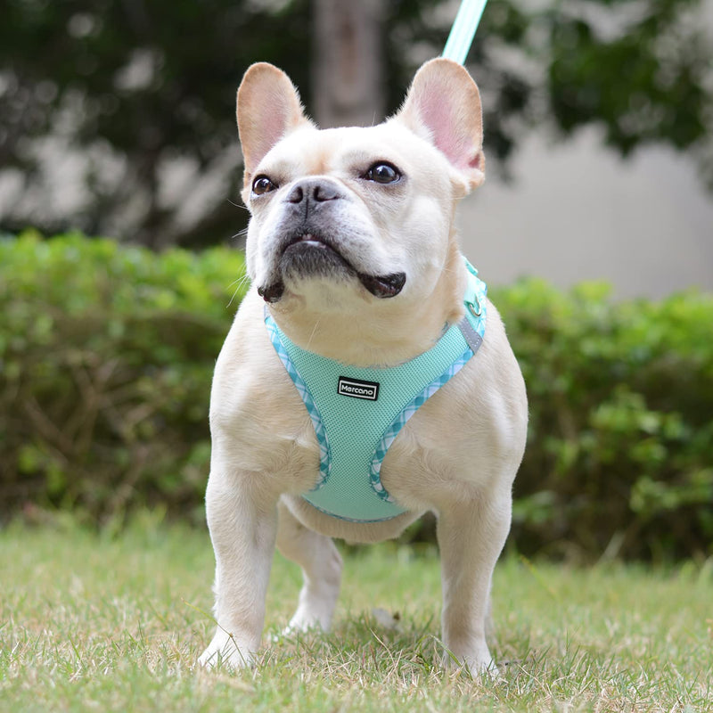 Mercano Soft Mesh Dog Harness and Leash Set, No-Chock Step-in Reflective Breathable Lightweight Easy Walk Escape Proof Vest Harnesses with Safety Buckle for Small Medium Dogs, Cats (Light Green, XXS) XX-Small Light Green - PawsPlanet Australia