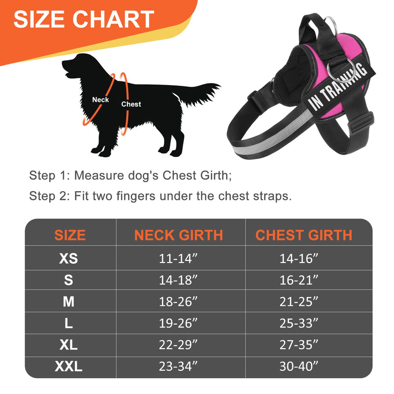 Essential Dog Harness, No Pull Pet Harness with 3 Side Rings for Leash Placement, No Choke, Reflective, Adjustable Pet Vest, Easy On-Off & Improved Control Handle, Training, Walking, Running S(Neck:14-18",Chest:16-21") Rose - PawsPlanet Australia