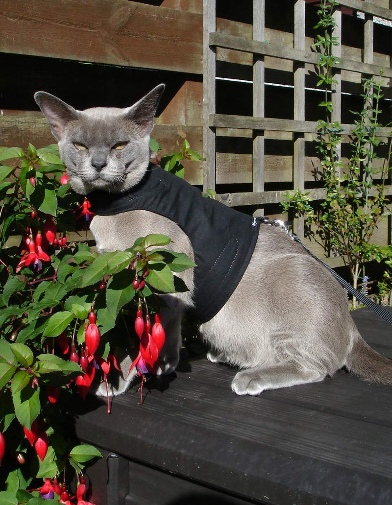 Mynwood Cat Jacket/Harness Black Adult Cat - PawsPlanet Australia