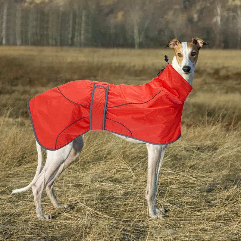 Greyhound Raincoat, Whippet Raincoats with Reflective Bar, Rain/Waterproof, Adjustable Vest - Stylish Dog Coat for Greyhounds, Lurchers and Whippets - Red - XS - PawsPlanet Australia