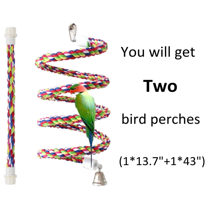 Pets vv Rope Bungee Bird Toy, Bird Perch 43 Inch long - PawsPlanet Australia