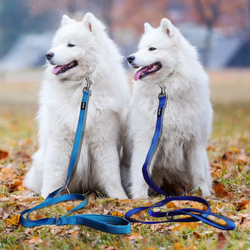 azuza 3 Pack Nylon Dog Leashes,Strong & Durable Basic Style Leash with Easy to Use Collar Hook,Available in Multiple Lengths for Puppy Small Medium and Large Dogs padded 2 pack 1"×4ft BLue - PawsPlanet Australia