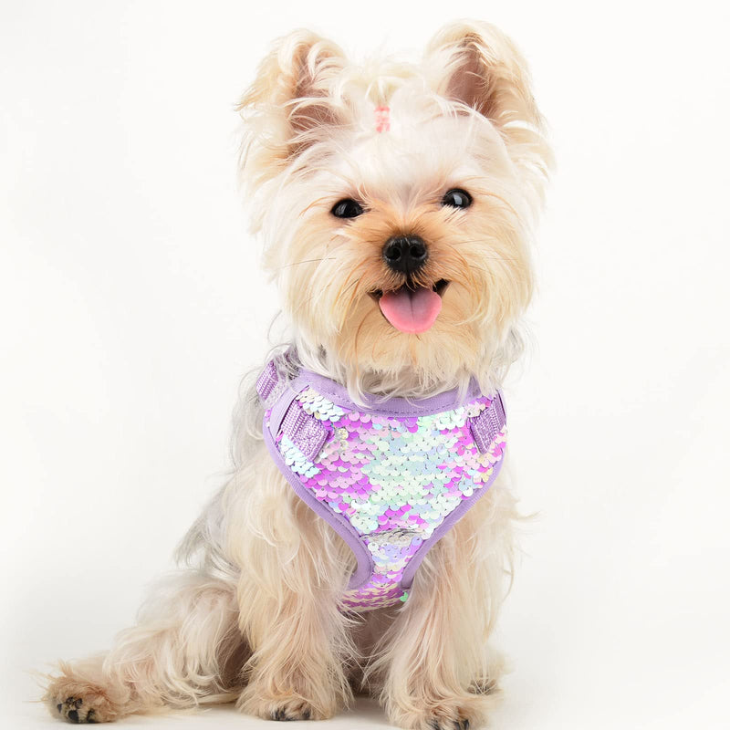 Dog Harness for Small Dogs Bling Dog Harness with Leash, Purple Adjustable Soft Padded Dog Vest, Adjustable No-Pull Pet Puppy Harness (Small) Small(Chest:11-17") Purple (Bling+Leash) - PawsPlanet Australia