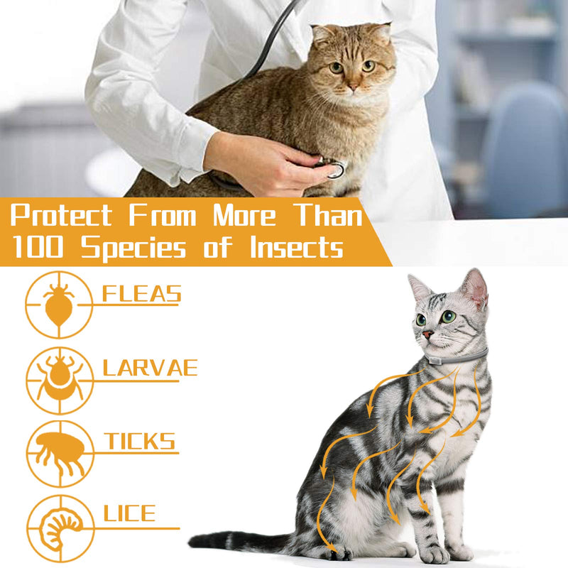 Sugelary Flea and Tick Collar for Cats, 8 Months Protection Adjustable Waterproof Cat Flea Collar Flea Collar Cats Enhanced with Natural Essential Oils Flea Treatment Collar for Cats 1 Pack (1) - PawsPlanet Australia