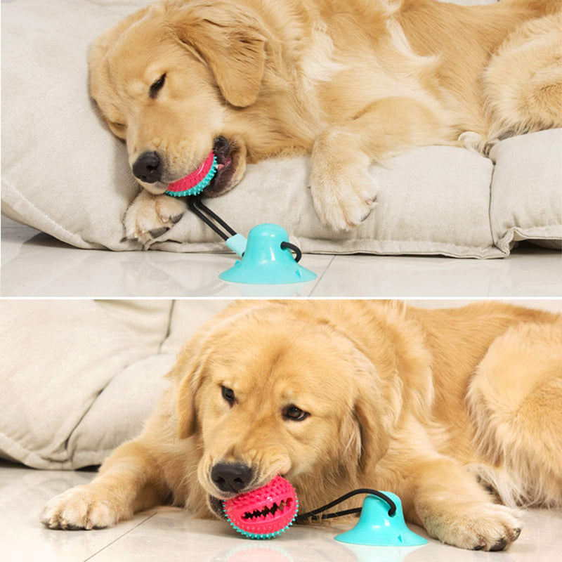 Dog Chew Toys for Aggressive Chewers, Suction Cup Dog Chewing Toy, Dog Rope Ball Toys with Suction Cup for Small Large Dogs, Puppy Dog Teeth Cleaning Interactive Pet Tug Toy (A) A - PawsPlanet Australia