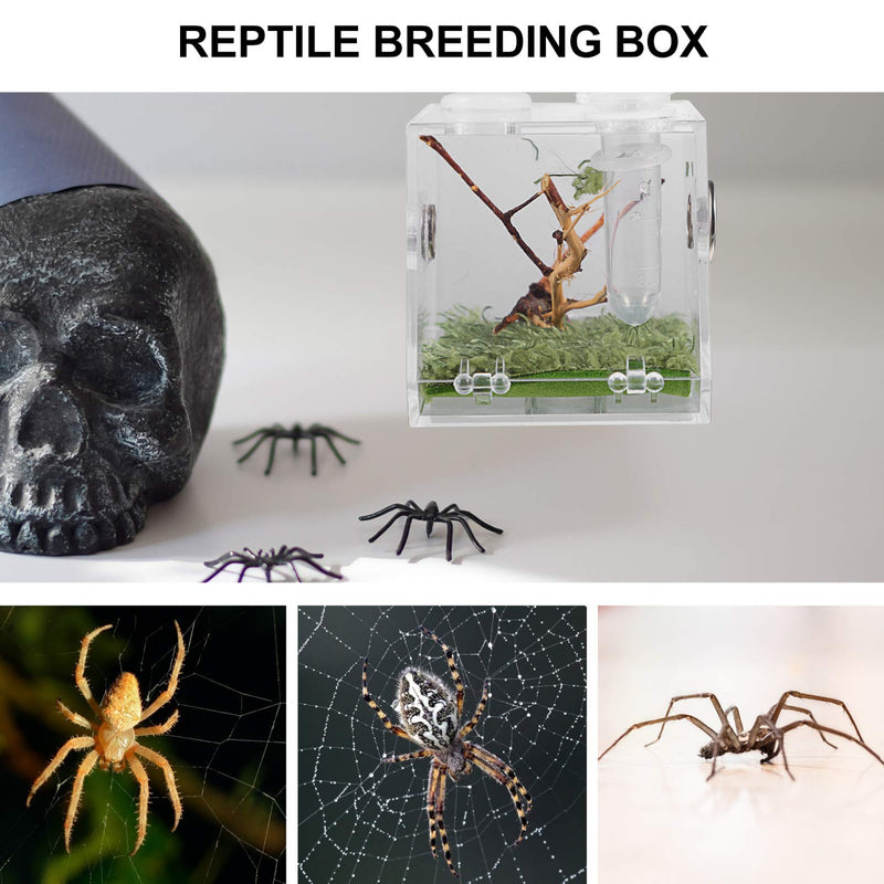 STOBOK 1Pc Reptile Terrarium Tank, Acrylic Case Enclosure Reptile Breeding Box Terrarium Cage Insect Viewing Box for Spider Crickets Snails Tarantulas Geckos - PawsPlanet Australia