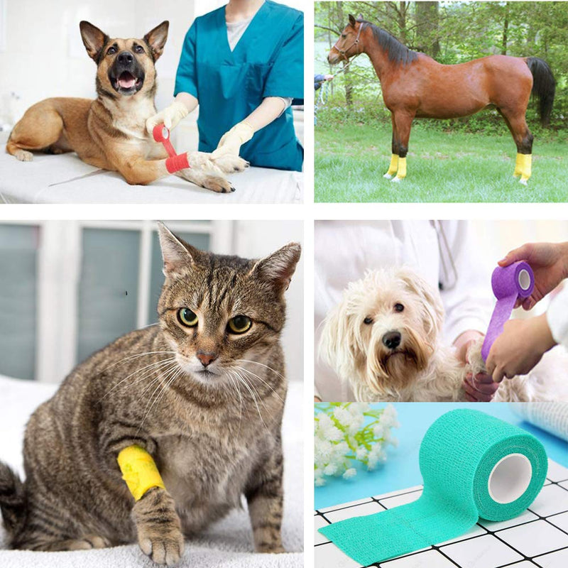 【16-Pack】 2”x 5 Yards Self Adhesive Bandage Wrap - Vet Wrap Self Adherent Wrap for Dogs Cats Horses Animals - Tattoo Grip Cover Wrap - Athletic Elastic Cohesive Bandage for Wrist Healing Ankle Sprain - PawsPlanet Australia