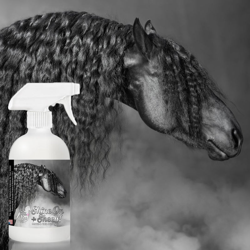 [Australia] - The Blissful Horses Shine-On Detangling Spray, 16-Ounce 