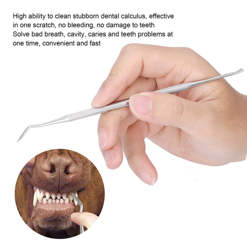 SALUTUYA 304 Stainless Steel Dog Tooth Cleaning Tool Suitable for Dogs - PawsPlanet Australia