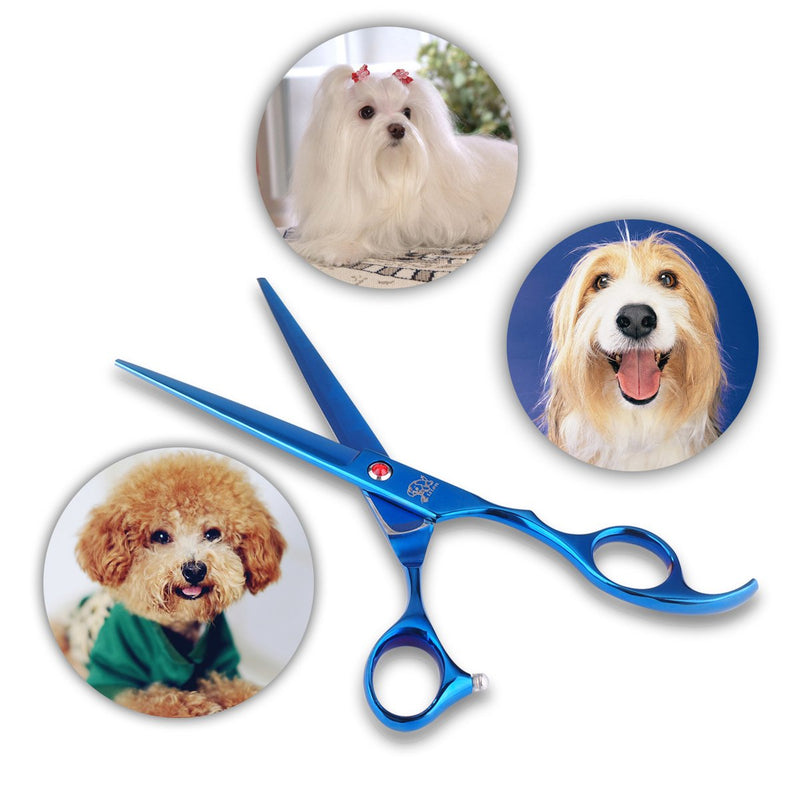 Dog grooming scissors set kit table cutting face paws groomer Thinning Straight Curved shear buttercut blades large finger holes professional supplies for small dogs cats horses 5pcs-Blue - PawsPlanet Australia