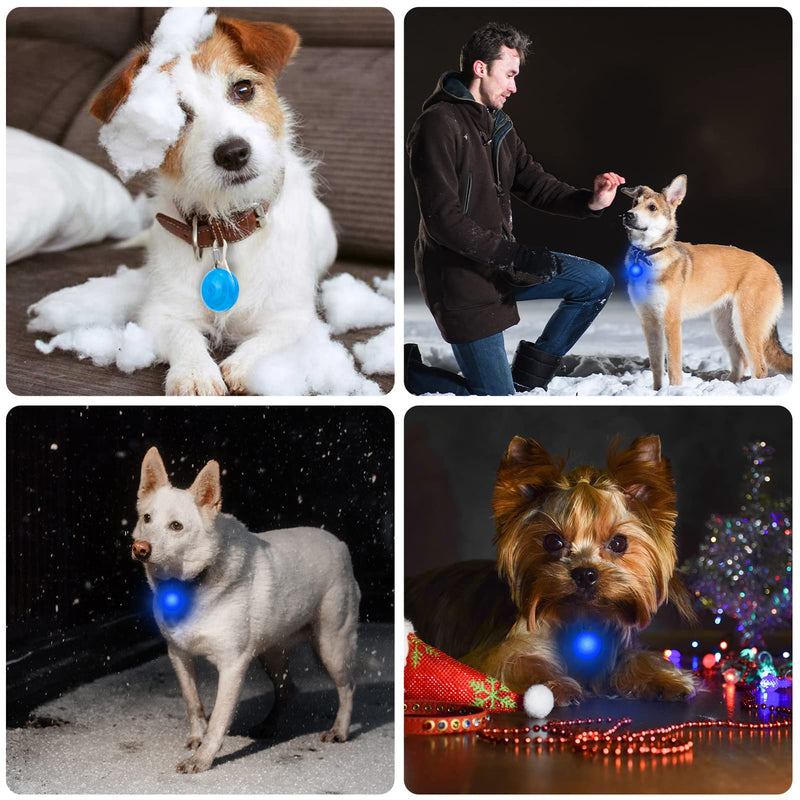 Pwsap Safety LED Flashing Light for Dogs, Cats, Light Pendant Dog Cat Collars Key Chain, 3 Flashing Modes Waterproof Safety Pet Lights Blue - PawsPlanet Australia