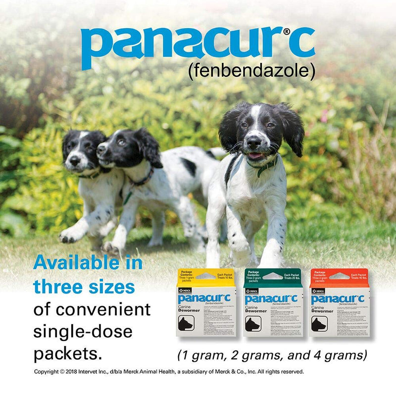 Panacur C Canine Dewormer (fenbendazole), 2 gram - PawsPlanet Australia