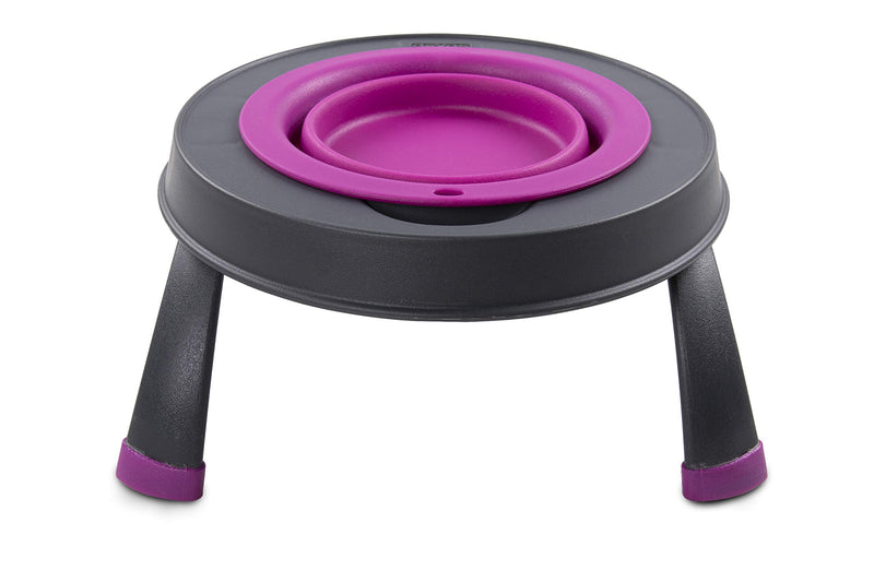 Dexas Popware for Pets Single Elevated Pet Feeder Small/1.5 Cup Capacity Fuchsia - PawsPlanet Australia