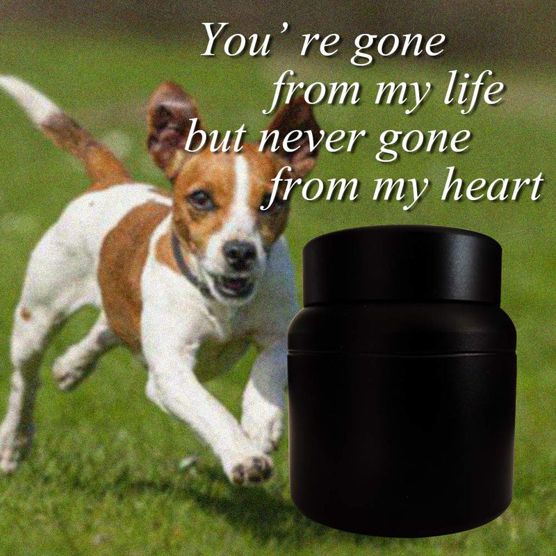 Pet Urns for Dogs Cats Ashes, Pet Memorial Cremation Keepsake Urn Loss of Pet Sympathy Gift - PawsPlanet Australia