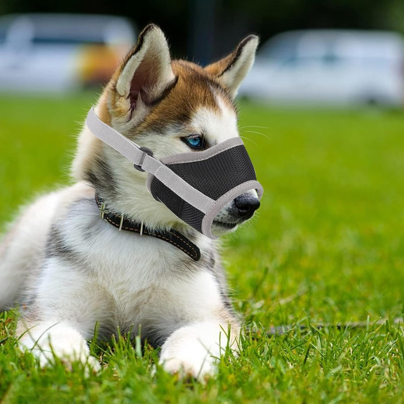 Muzzle, Muzzle Small Dogs, Muzzle Medium Dogs, Muzzle Labrador, Dog Muzzle, Poison Bait Protection Dog, Dog Muzzle, Muzzle for Large Dogs, Muzzles for Small, Medium, Large Dogs - PawsPlanet Australia