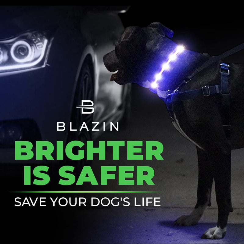 Blazin' Safety LED Dog Collar – USB Rechargeable with Water Resistant Flashing Light – Large Orange - PawsPlanet Australia