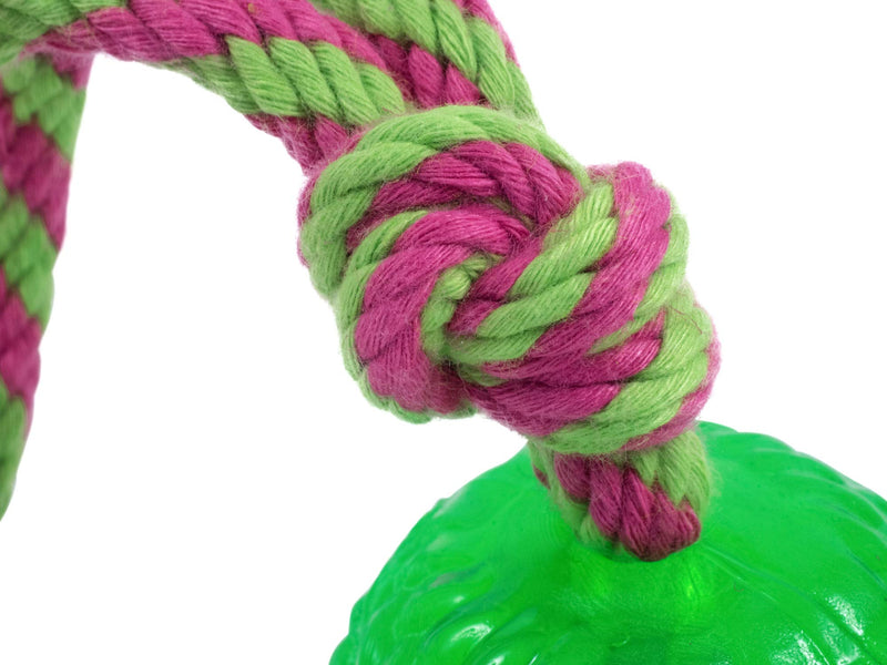 Petface Toyz Chew and Bouncy Rope Ball for Dog, Blue/Pink/Green, One Supplied - PawsPlanet Australia