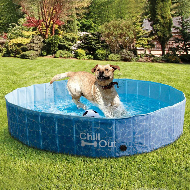 ALL FOR PAWS Chill Out Splash and Fun Dog Pool, Medium, 9.5507 kg - PawsPlanet Australia