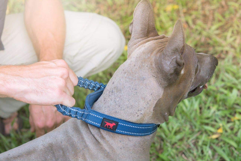 Tuff Pupper Heavy Duty Dog Collar with Handle | Ballistic Nylon Heavy Duty Collar | Padded Reflective Dog Collar with Adjustable Stainless Steel Hardware | Convenient Sizing for All Breeds 13 - 17" Brown - PawsPlanet Australia