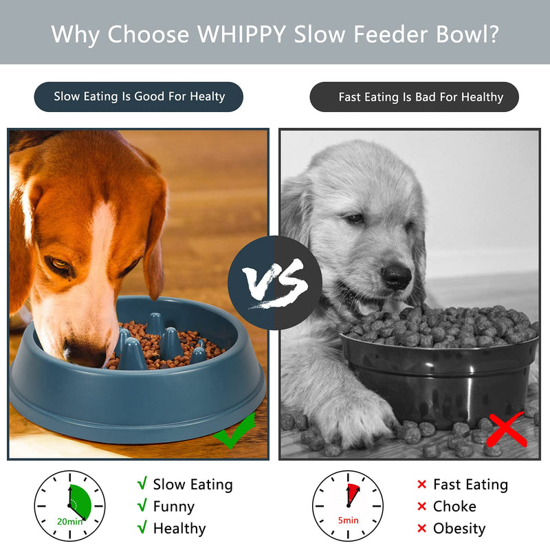 WHIPPY Slow Feeder Dog Bowl Dishes for Small Medium Dog Cat Non Slip Slow Eating Healthy Puppy Bowl Puzzle Maze Fun Feeder Interactive Bloat Stop Dog Pet Bowl, Blue - PawsPlanet Australia