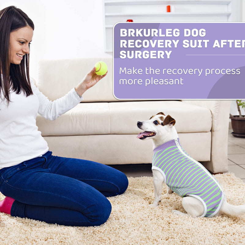 BRKURLEG Dog Recovery Suit After Surgery,Surgical Shirts Spay Suit for Female Male Dog, Striped Puppy Doggy Onesie Snugly Vest for Abdominal Wounds Anti-Licking, Zipper Closure Cat Neutering Suit Small Purple Stripes - PawsPlanet Australia