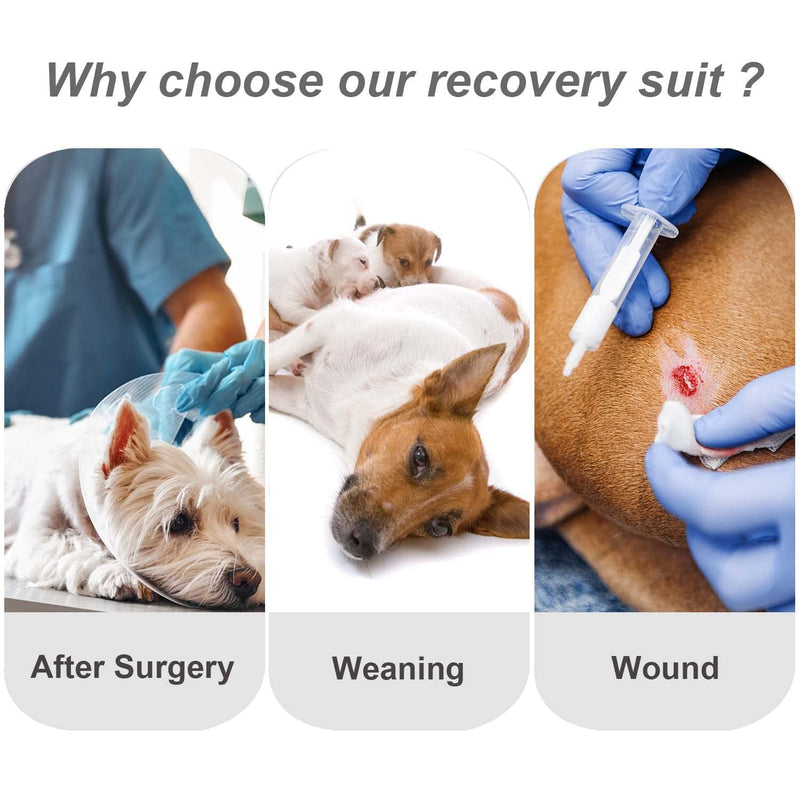 Due Felice Surgical Recovery Suit for Female Male Dog Cat Recycled Fabric Doggy Surgery Onesie After Surgery Wear Pet Cone Alternative for Abdominal Wounds Skin Diseases Bee/XS XS(Chest:13.8"/35cm;Back:10.2"/26cm) - PawsPlanet Australia