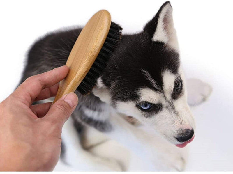 [Australia] - Patina Pet Grooming Brush,Natural Bamboo Boar Bristles Brush for Matted Short and Long Haired Dogs Cats Gentle Easy Grooming Massage 