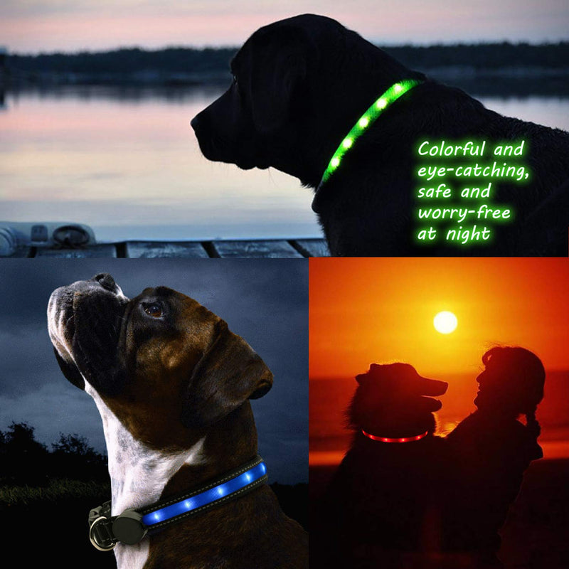 [Australia] - LED Safety Dog Collar - USB Rechargeable Light Up Pet Collar Nylon Pet Collar with Metal Buckle Water Resistant Flashing Light- Makes Your Dog Visible, Safe & Seen L(19-24"inch/49-61cm) 
