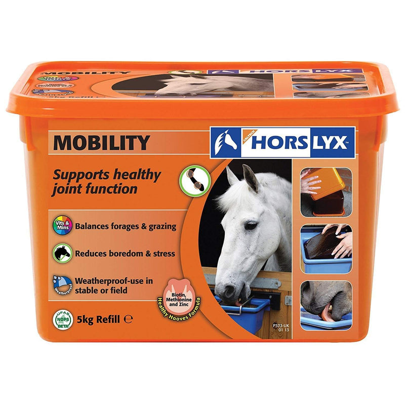 Horslyx Refill Horse Lick (5 kg) (Mint) - PawsPlanet Australia