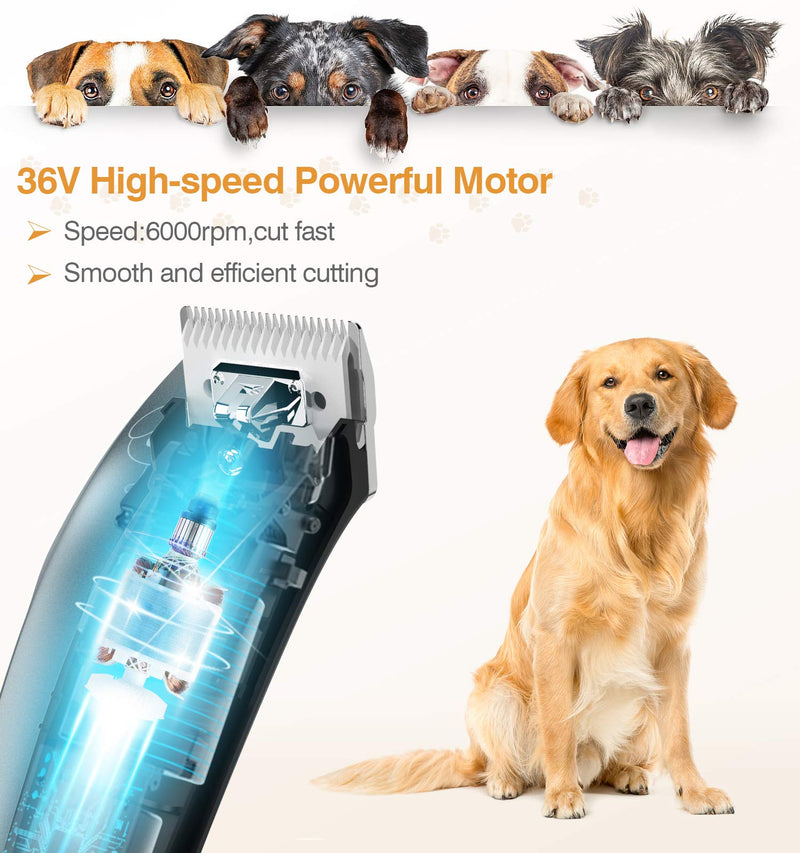 Dog Clippers,Dog Grooming Kit 36V Powerful Motor Low Noise Plug-in Professional Electric Pets Hair Trimmers Shaver Shears with 4 Comb Guides, Scissors, Nail Clippers for Dogs and Cats - PawsPlanet Australia