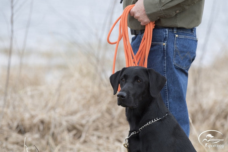 [Australia] - SportDOG Orange Check Cord 