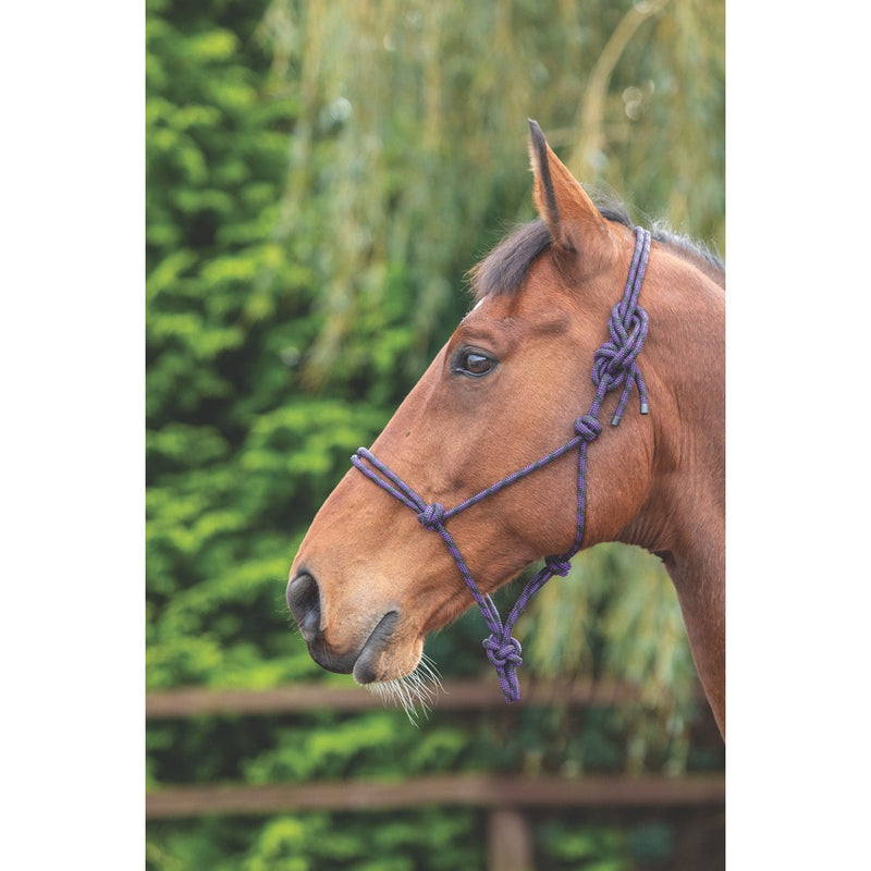 Shires Rope Control Headcollar Purple/Black - PawsPlanet Australia