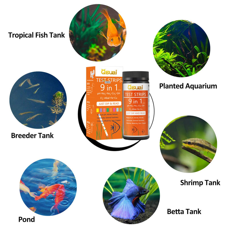 Qguai Aquarium Test Strips, 9 in 1 Aquarium Water Test Kit for Freshwater Saltwater Pond Water Fish Tanks, Help Prevent Invisible Problems by Monitoring Nitrate, Nitrite, PH, Free Chlorine and More - PawsPlanet Australia