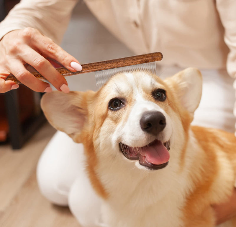 Cat brush, dog brush, lice comb with wooden handle, flea comb for dogs and cats with tangled short/long hair, brush for pet care - PawsPlanet Australia