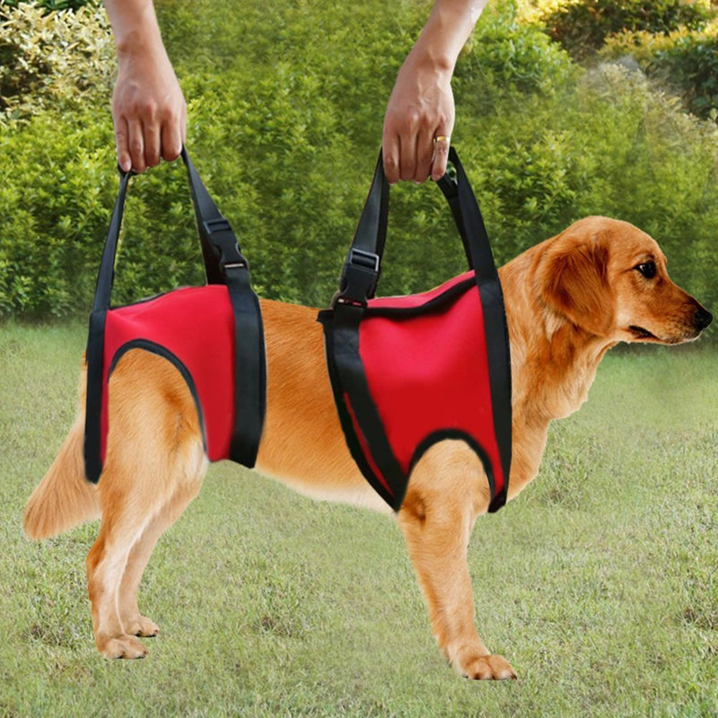 Dog Harness, Pet Walking Aid Lifting Pulling Vest Sling Support Rehabilitation for Old & Injured Dogs(Rear Leg - L-Red) Rear Leg - L Red - PawsPlanet Australia