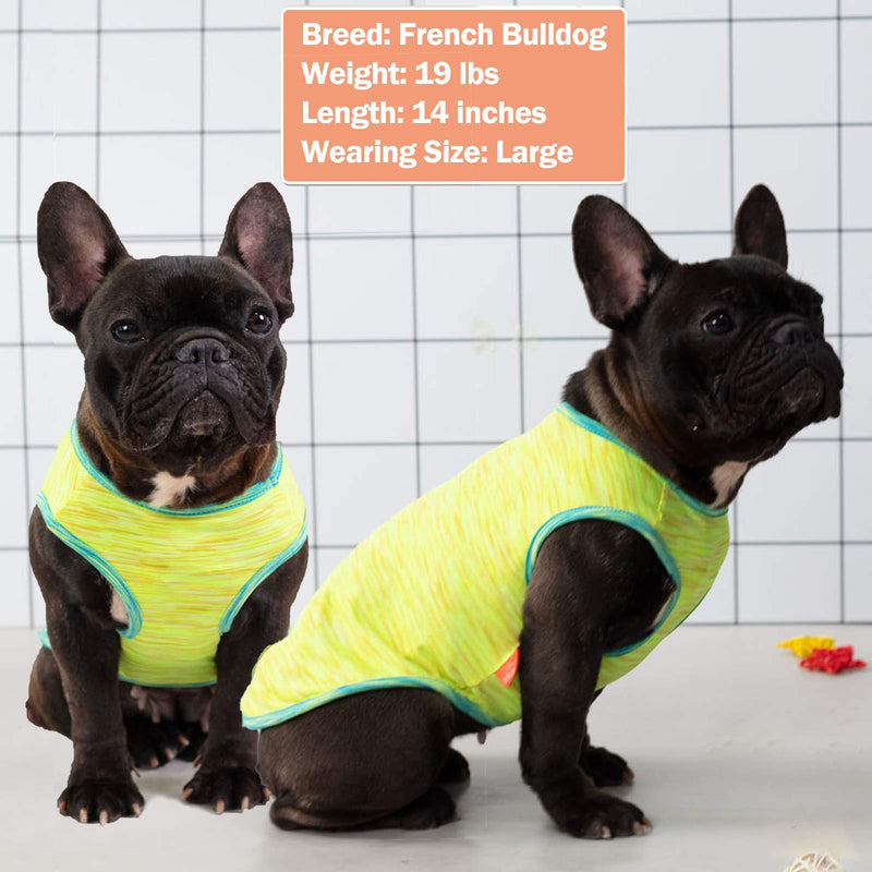 kyeese 2 Pack Dog Shirts Quick Dry Soft Stretchy Dog T-Shirts with Reflective Label Tank Top Sleeveless Vest Dog Clothes for Small Dogs Large 2Pack (Green+Yellow) - PawsPlanet Australia