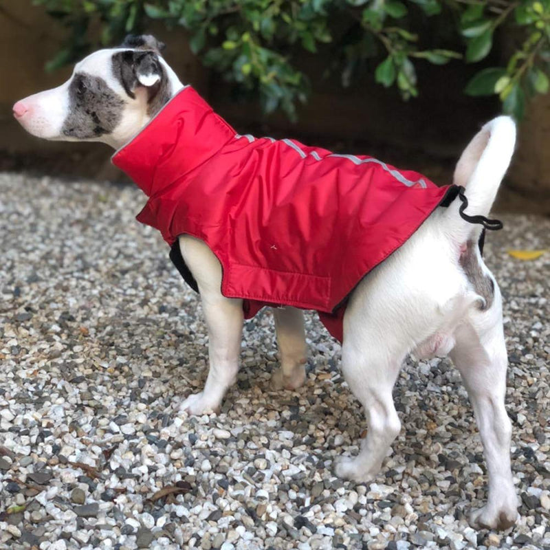 PETCEE Waterproof Winter Jacket for Large Dogs,Red 3XL Fleece Lined Cold Weather Dog Jacket XXXL Red - PawsPlanet Australia