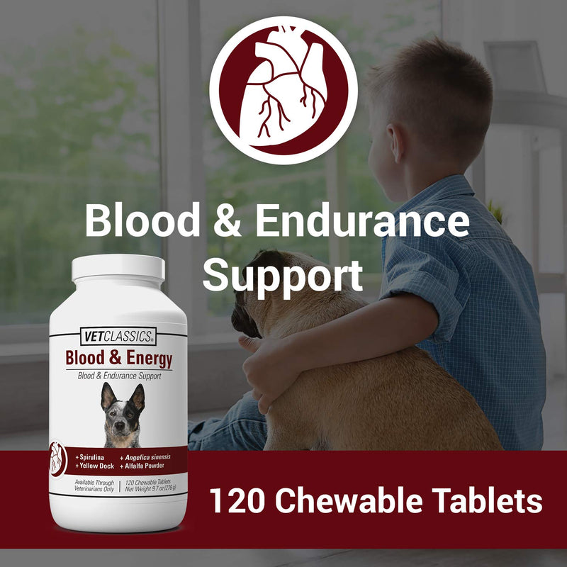 Vet Classics Blood & Energy Support for Dogs, Supports Endurance with Spirulina, Yellow Dock, & Alfalfa Support Formation of Hemoglobin and Myoglobin, 120 Chewable Tablets - PawsPlanet Australia