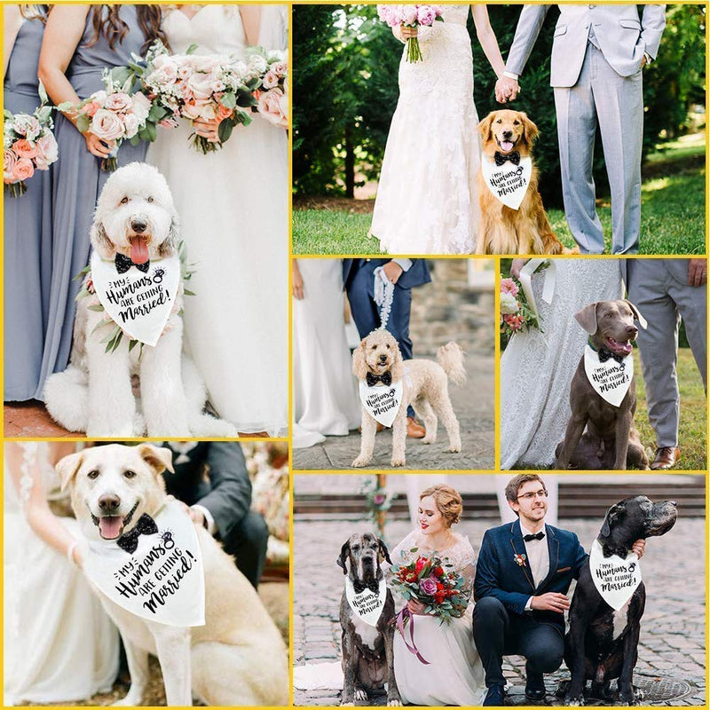 My Humans are Getting Married-Dog Bandana, Wedding Dog Bandana, Wedding Photo Prop, Dog Engagement Announcement,Bridesmaid Proposal,Bridesmaid,Pet Accessories - PawsPlanet Australia