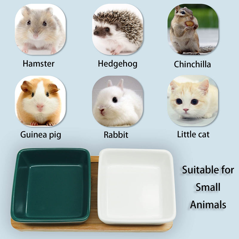 KUAO 2-Piece Set Hamster Feeding Bowl Square Ceramic White and Green Small Animal Dishes Food and Water Bowl with a Bamboo Shelf for Hamsters Guinea Pig Gerbil Hedgehog Rabbit and Little Cat - PawsPlanet Australia