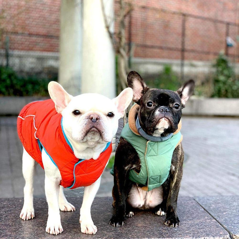 Gooby Sports Dog Vest - Fleece Lined Dog Jacket Coat with D Ring Leash - Reflective Vest Small Dog Sweater, Hook and Loop Closure - Dog Clothes for Small Dogs Girl or Boy for Indoor and Outdoor Use Black X-Small chest (~10.5") - PawsPlanet Australia